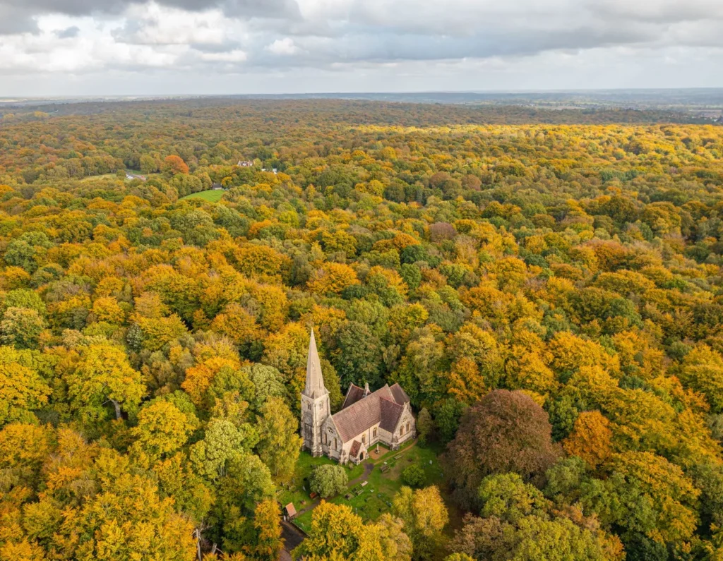 Epping Forest Celebrates £4.4m Grant for Habitat Restoration Work