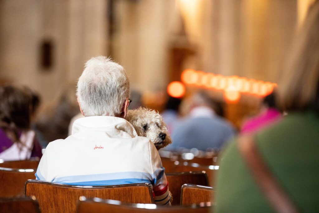 Bishopsgate: St Botolph Without Animal Blessing Service